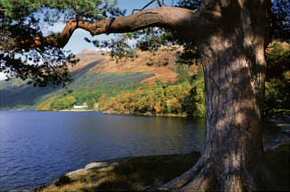 West Highland Way, at Rowardennon on Loch Lomond in the National park